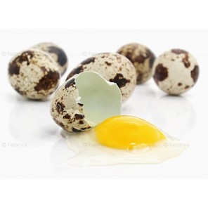 Яйцо домашнее перепелиное
